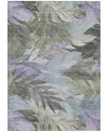 Addison Chantille Machine Washable Acn1499 5'x7'6" Area Rug