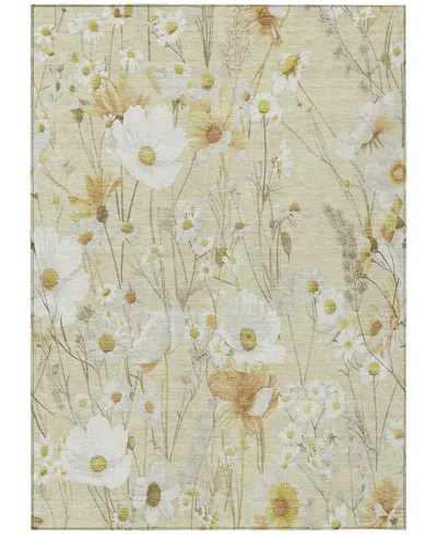 Addison Chantille Machine Washable Acn1505 10'x14' Area Rug