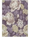 Addison Chantille Machine Washable Acn1561 10'x14' Area Rug