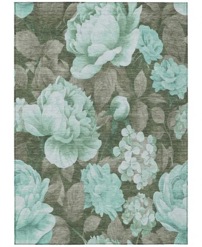 Addison Chantille Machine Washable Acn1565 10'x14' Area Rug