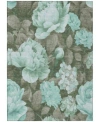 Addison Chantille Machine Washable Acn1565 Area Rug Collection