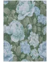 Addison Chantille Machine Washable Acn1566 9'x12' Area Rug