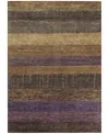 Addison Chantille Machine Washable Acn1568 9'x12' Area Rug