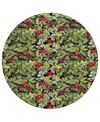 Addison Holiday Washable Indoor/outdoor Acn1816 8'x8' Round Area Rug In Black