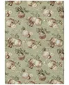 Addison Holiday Washable Indoor/outdoor Acn1828 3'x5' Area Rug In Green