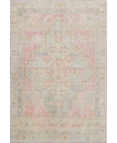 Addison Mayfield Amf1918 2'6"x3'10" Area Rug In Pink