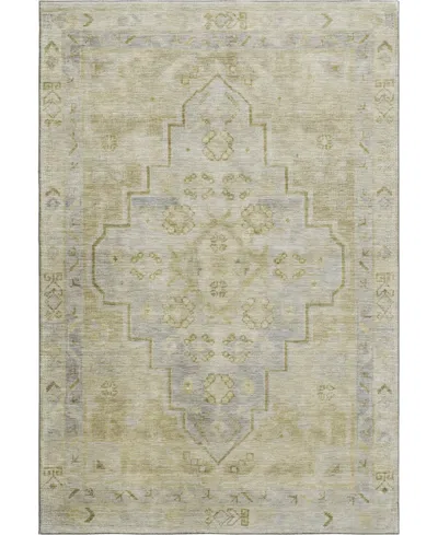 Addison Mayfield Amf1918 3'x5' Area Rug In Gray