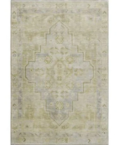 Addison Mayfield Amf1918 Rug Collection In Gray