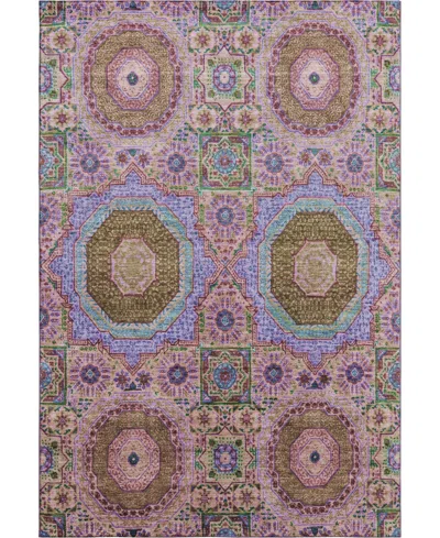 Addison Mayfield Amf1923 10'x14' Area Rug In Pink