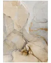 Addison Rugs Chantille Polyester Indoor/outdoor Washable Rug In Beige