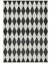 Addison Rugs Chantille Polyester Indoor/outdoor Washable Rug In Black