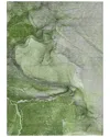 Addison Rugs Chantille Polyester Indoor/outdoor Washable Rug In Green