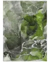 Addison Rugs Chantille Polyester Indoor/outdoor Washable Rug In Green