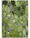 Addison Rugs Chantille Polyester Indoor/outdoor Washable Rug In Green