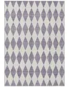 Addison Rugs Chantille Polyester Indoor/outdoor Washable Rug In Purple