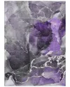 Addison Rugs Chantille Polyester Indoor/outdoor Washable Rug In Purple