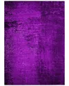 Addison Rugs Chantille Polyester Indoor/outdoor Washable Rug In Purple