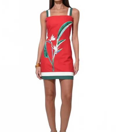 Adelyn Rae Birds Of Paradise Mini Dress In Red