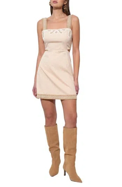 Adelyn Rae Callie Embroidered Minidress In Brown