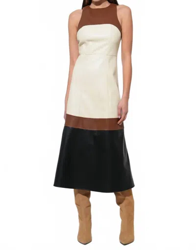 Adelyn Rae Caspia Colorblock Midi Dress In Brown Multi In White