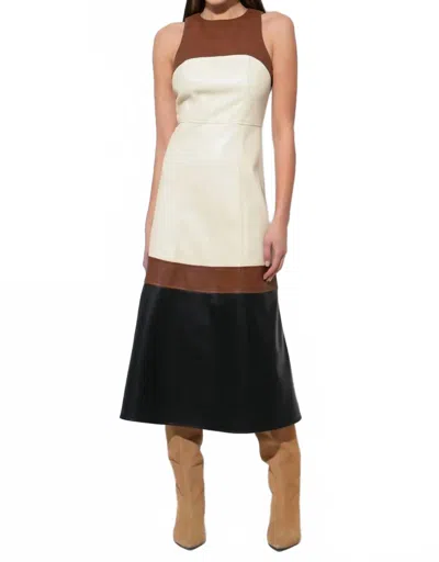 Adelyn Rae Caspia Midi Dress In Colorblock In Neutral