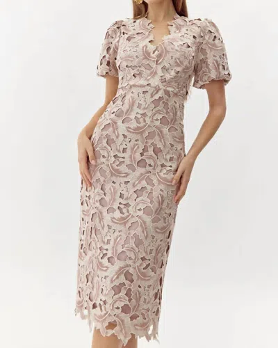 adelyn rae lace midi dress Adelyn Rae Adeline Palm Lace Midi Dress in Blue