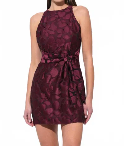 Adelyn Rae Falini Velvet Burnout Tie Front Mini Dress In Wine In Burgundy