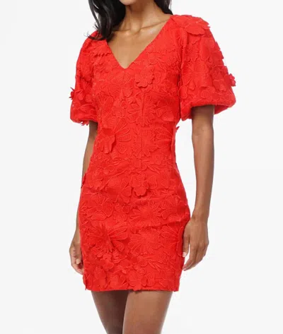 Adelyn Rae Hustina Lace Mini In Floral In Red