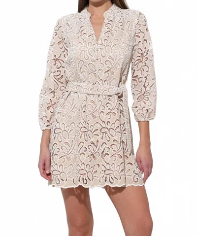 Adelyn Rae Lina Embroidered Eyelet Scalloped Belted Dress In Natural In White