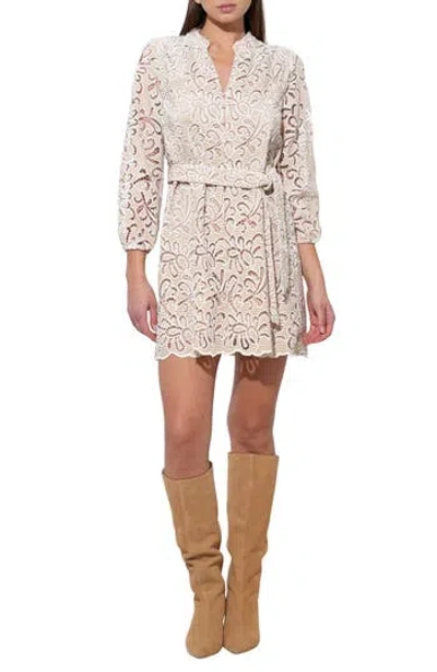 Adelyn Rae Lina Embroidered Minidress In Brown