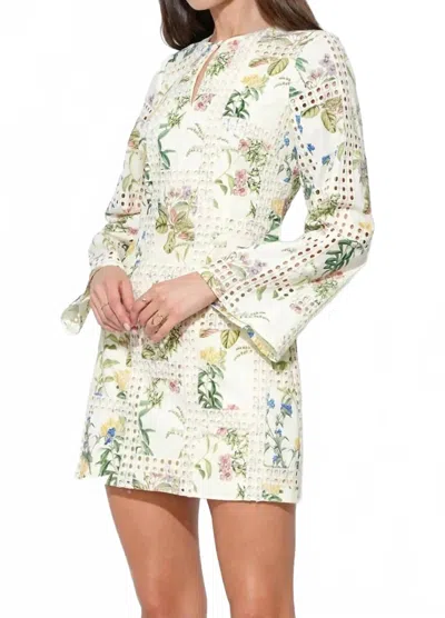 Adelyn Rae Marshall Eyelet Minidress In Cream In White