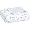 Aden + Anais Organic Dream Blanket In White