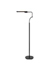 Adesso 56.5" In Black