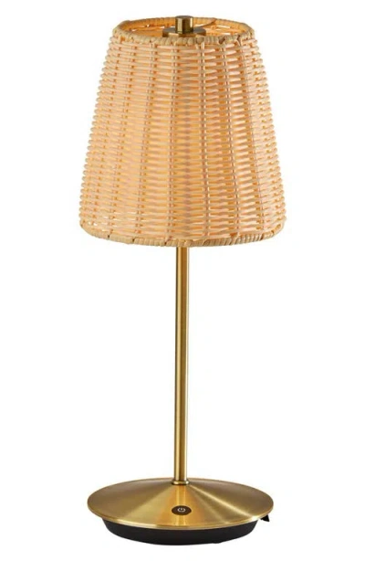 Adesso Lighting Andy Cordless Led Lamp In Antique Brass