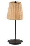 Adesso Lighting Andy Cordless Led Lamp In Black