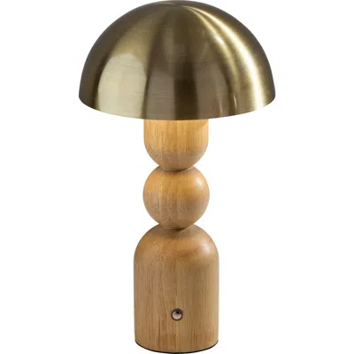 Adesso Lighting Connie Led Cordless Table Lamp In Brown