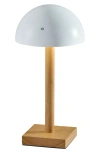 Adesso Lighting Nash Led Cordless Table Lamp