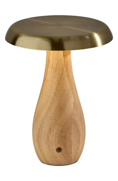 Adesso Lighting Naya Cordless Led Table Lamp In Brown