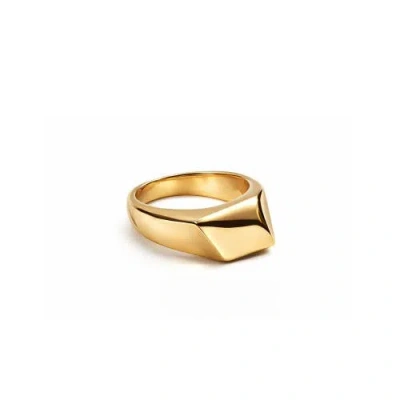Adiba Eclipse Stainless Steel Chunky Ring In Gold