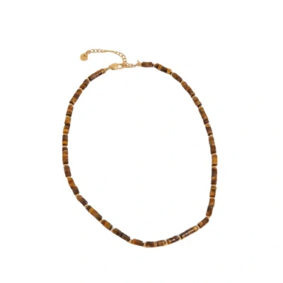 Adiba Horizon Tiger Eye Stainless Steel Necklace In Multi