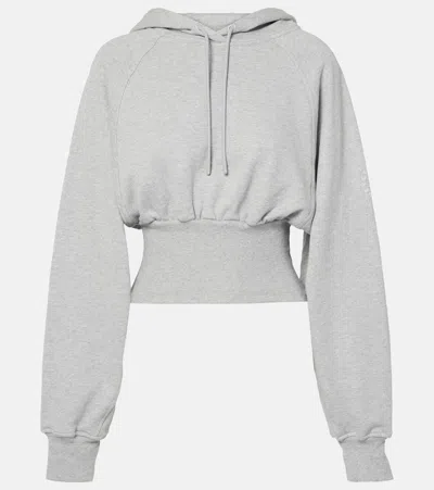 Adidas By Stella Mccartney Cropped Cotton Jersey Hoodie In Medium Grey Heather