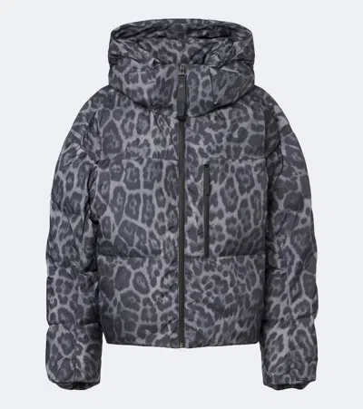 Adidas By Stella Mccartney Leopard-print Hooded Puffer Jacket In Animal Print