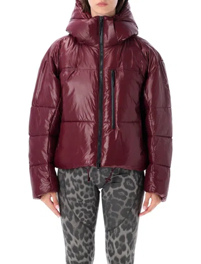 Adidas By Stella Mccartney Hooded Cropped Puffer Coat Lightweight In Burgundy