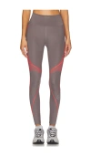 Adidas By Stella Mccartney Tpa Legging In 차코
