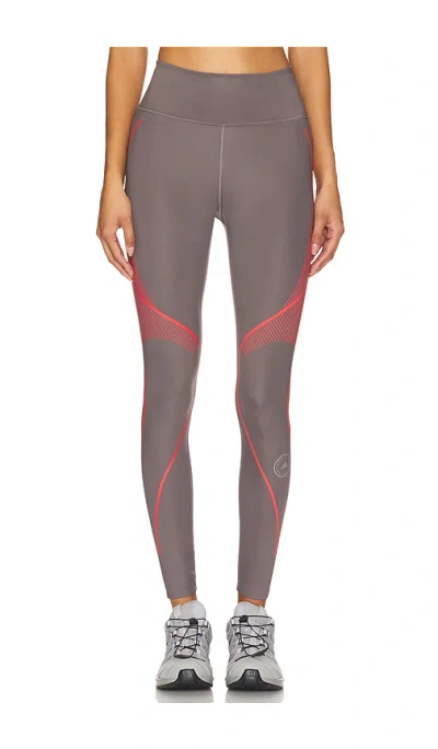 Adidas By Stella Mccartney Tpa Legging In Brown