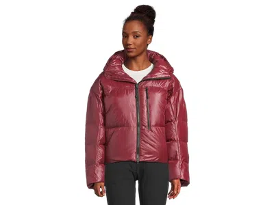 Adidas By Stella Mccartney Truenature Short Padded Winter Jacket Iw3843 In Burgundy