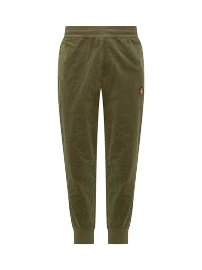 Adidas Cp Spzl Cp Szl Stnd Trousers In Green