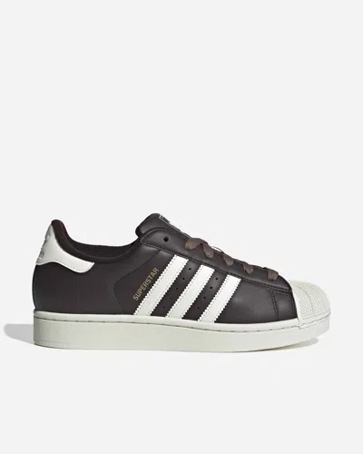 Adidas Ori Superstar Ii | In Brown