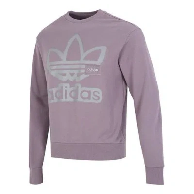Adidas Originals Adicolor Crew Sweatshirt In Purple