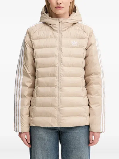 Adidas Originals Adicolor Hooded Jacket In Neutral